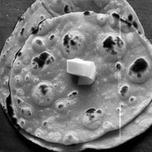 Special Chapati