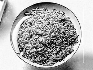 Veg Hongkong Rice