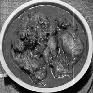 Chicken Diwani