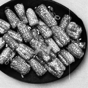 American Frien Corn