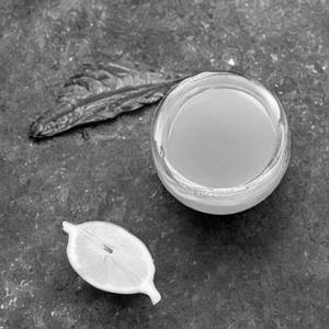 Lemon Pudina 