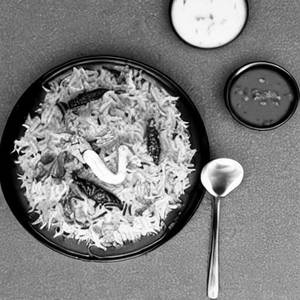 Veg Biriyani