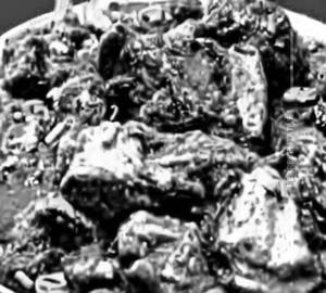 Andhra Mutton