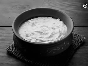 Plain Dahi