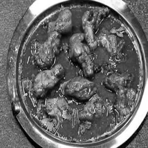 Chicken Leg (Kalmi) Grvy