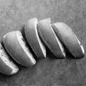 Family Bread