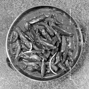 Bhindi Kurkure