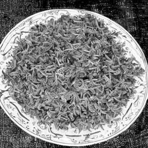 Birnji