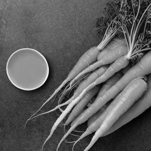 Tender Carrot
