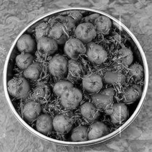 Chana roast kachumar                                                             