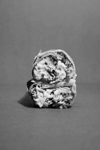 Mushroom Shuwa Wrap