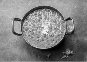 Dal Tadka