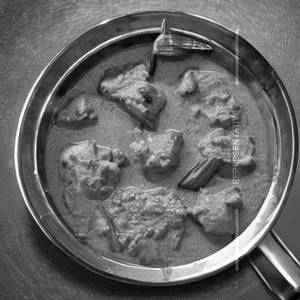 Chicken Shahi Korma