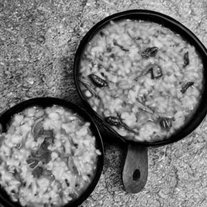 Khichdi