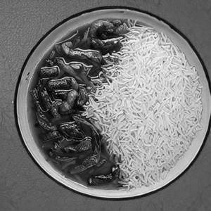 Chinese Rice