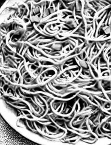 Chicken Schezwan Hakka Noodles