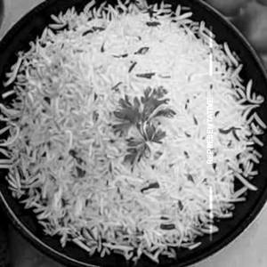 Plain Rice
