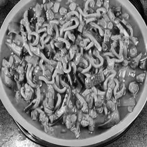 Mix Veg Noodels