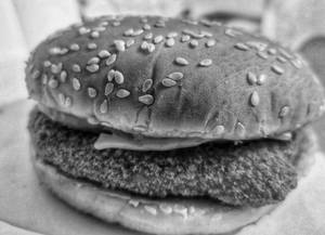 Crunchy Patty Burger