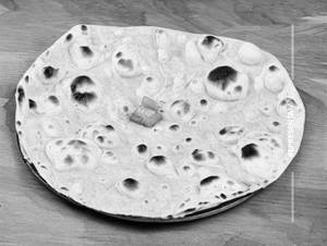 Wheat Roti
