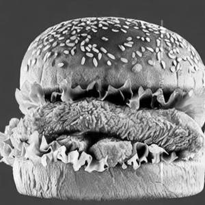 Chicken Maharaja Burger