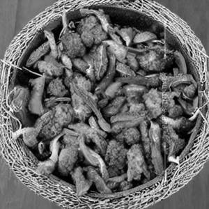 Veg Crispy