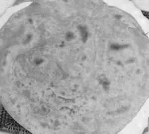 Lachha Paratha
