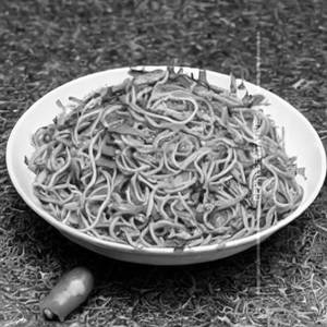 Veg Schezwan Noodles
