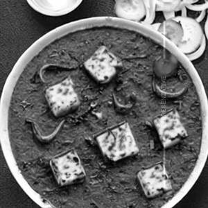 Shahi Zaika Special Paneer