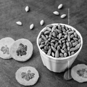 Dry Fruit Mastani