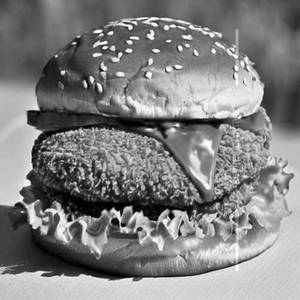 Zinger Chicken Burger