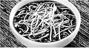 Chicken Manchow Soup