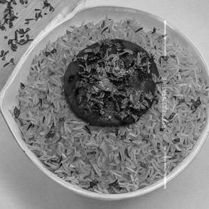 Plain Rice