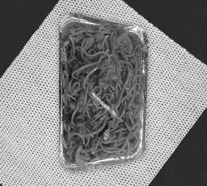 Chicken hakka sezwan noidles