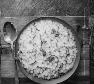 Shabudana khichdi