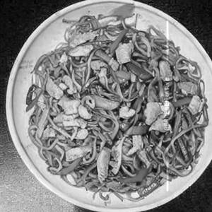 Hawkers Style Double Chicken Noodles