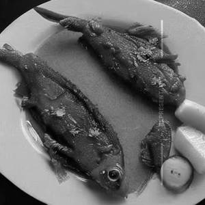 Fish Koliwada