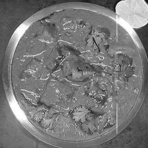 Sondhi Machhi