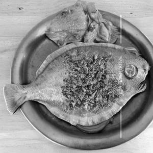 Hariyali Pomfret
