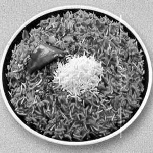 Triple Schezwan Rice