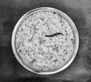 Dal Khichadi