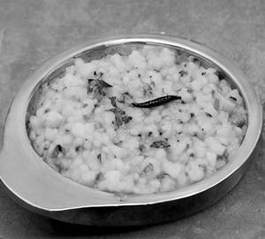 Plane Khichdi