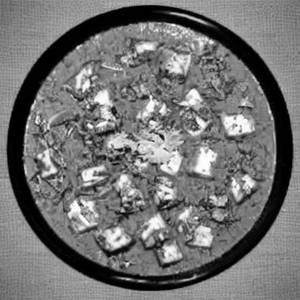 Paneer Banjara