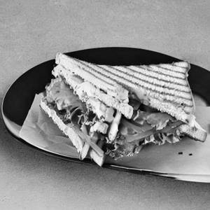 Veg sandwich                     