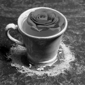 Rose tea