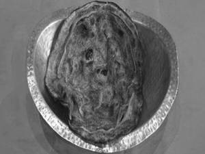 Pudina Paratha