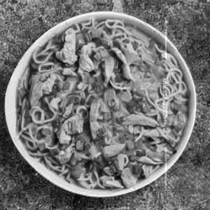 Chicken Gravy Noodles