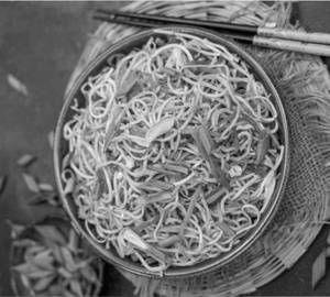 Veg Noodles