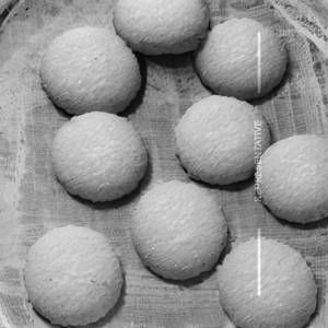 Coconut Cookies
