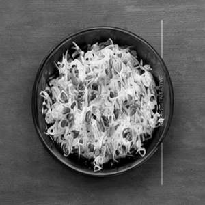 Sprout Salad